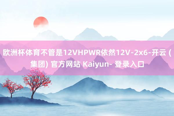 欧洲杯体育不管是12VHPWR依然12V-2x6-开云 (集团) 官方网站 Kaiyun- 登录入口