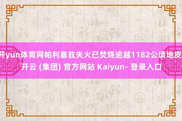 开yun体育网帕利塞兹失火已焚烧逾越1182公顷地皮-开云 (集团) 官方网站 Kaiyun- 登录入口